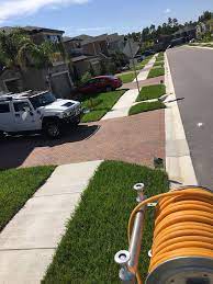 This is a specialty business, and regular pest control companies do not use the proper techniques to solve animal problems. Grass Monkey Pest Control Home Facebook