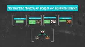 There are 20+ professionals named tessa mertens, who use linkedin to exchange information, ideas, and opportunities. Mertens Sche Mimikry Am Beispiel Von Korallenschlangen By Tessa Ko