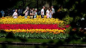 .kunjungi untuk melihat keindahan bunga tulip di istanbul adalah di blue mosque dan juga hagia sophia. Bunga Tulip Bukan Dari Belanda Ada Kaitannya Dengan Turban Travel Tempo Co