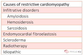 Image result for Restrictive Cardiomyopathy