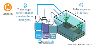 Kinguios Conheca Antes De Montar Um Aquario Tropical Import