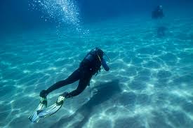 Check spelling or type a new query. So You Wanna Be A Scuba Diver Dive Buddies 4 Life