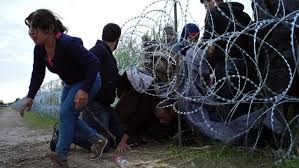 Ha una lunghezza di 152 km. La Rotta Dei Balcani Gli Incerti Confini Di Un Europa Disunita Le Ondate Migratorie Di Profughi In Fuga Da Guerra Miseria Non Futuro Le Risposte Necessarie Da Dare 1 Immediate Con La