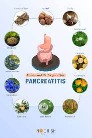 Foods And Herbs Good For Pancreatitis In 2021 Pancreatic Diet Recipes Pancreatitis Diet Healing Food
