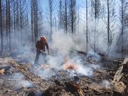 More than 200 wildfires are burning in the province and an estimated 14,000. Responding To Increased Wildfire Smoke In British Columbia What Pharmacists And Pharmacy Technicians Need To Know Bc Pharmacy Association