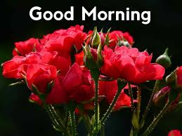 Best Good Morning Images With Rose Flowers Free Download Hd Good Morning Mornings are symbols of new beginnings. with rose flowers free download hd