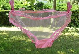 Porter une petite culotte et la vendre ensuite ne vous est jamais venu à l'esprit ? Pin Op Pantie Ebay Shop