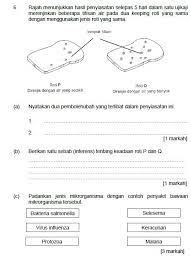 Bank soalan ujian pertengahan tahun bagi tahun 3 2017 via sumberpendidikan.com. Sains Kertas 2 Upsr Topik Mikroorganisma Cmn Academy Online Learning Platform