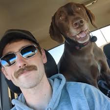 JCB 444 Engine Rebuild and Maintenance