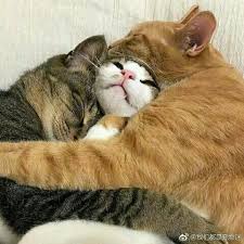 Jelaskanlah interaksi yang terjadi antara manusia dengan lingkungan. Jelaskanlah Interaksi Yang Terjadi Antara Manusia Dengan Lingkungan Alam Nya Brainly Co Id