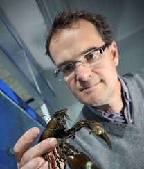 Professor Andrew Beavis