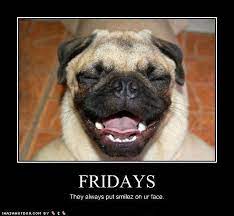 Thoughts For An Early Morning Thank Goodness It S Friday Quotes Carlino Pechinese Animali