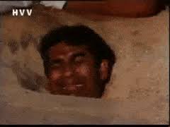 Best Brahmi Gifs Gfycat Share the best gifs now >>>. best brahmi gifs gfycat