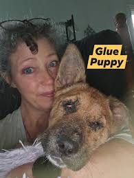 Noodle can't decide if its time to play, chew or cuddle. Some days are like  that! #emotionalrescuedogs #rescue #specialneedsdogs