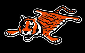 Nfl Memes On Twitter Breaking Cincinnati Bengals Release New Logo That Will Be Used Everytime They Play In Primetime