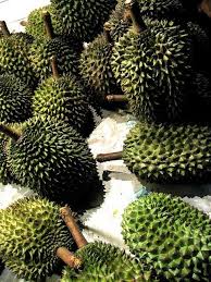 Hijaukan Com Tanaman Buah Kebun
