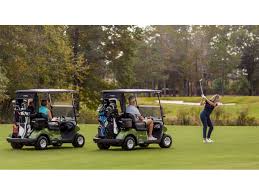 Image result for Brown 2025 Fleet