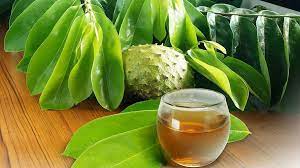 Maybe you would like to learn more about one of these? Manfaat Daun Sirsak Untuk Darah Tinggi Herbal Yang Berkhasiat