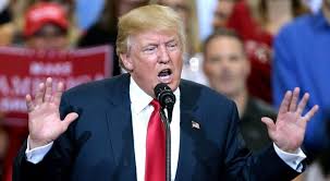 Je incroyable amandine buchard, qui déséquilibre son adversaire suisse sur ippon en une quinzaine. Sport La Judokate Amandine Buchard Fait Son Coming Out