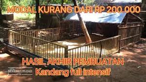 Check spelling or type a new query. Kandang Bebek Petelur Sistem Kering