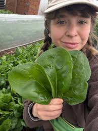 Fresh produce available at tomorrow's farm stand