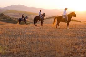 Aus diesem grund möchten sie sicherlich nur das beste für ihr pferd. Exklusive Pferdefinca Reiturlaub In Andalusien Deutschsprachig Travel Friends Com