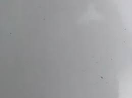 Image result for Chamonixweiss 1970 Wartburg