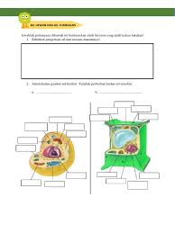 Maybe you would like to learn more about one of these? Lkpd Sel Hewan Dan Sel Tumbuhan