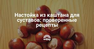 Nastojka Iz Kashtana Dlya Sustavov Recept Www Wday Ru
