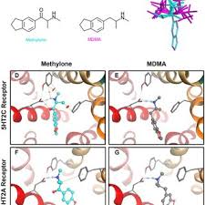 Eric F. Schmidt's research works