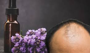 Such a mixture will serve the hair as a true elixir of beauty and healthy appearance. Hair Loss Treatment Lavender Oil Shown To Stop Alopecia Toysmatrix