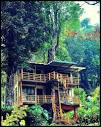 Jungle Jive Tree House Munnar, Munnar – Updated 2024 Prices