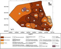 Image result for Millettia eetveldeana
