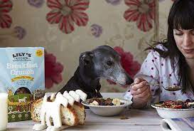 Is It Okay For Dogs To Eat Cornflakes Find Out What Cereals Are Safe For Dogs To Eat Can Dogs Eat Eat Balanced Breakfast