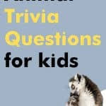 Having famous parents comes with plenty of fringe benefits, like going to red carpet premieres and being able to score tickets to coachella. Best Animal Trivia Questions For Kids Questions And Answers