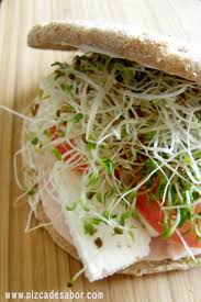 Como Hacer Un Sandwich Saludable Pizca De Sabor Receta Sandwiches Saludables Comida Saludable Comida