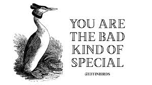 Bird Bird Bird Bird Is The Word Timbaland Effin Birds Effinbirds Twitter Funny Birds Fun At Work Effin