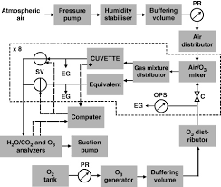 Schematic Gas Flow Diagram For The Arabidopsis O3 Exposure