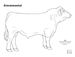Cattle Com Blog Archive June 2014 Coloring Pages Color Animal Science