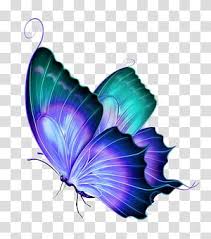 Butterfly Greta Oto Gorgeous Butterfly Transparent Background Png Clipart In 2020 Free Watercolor Flowers Butterfly Painting Butterfly Illustration