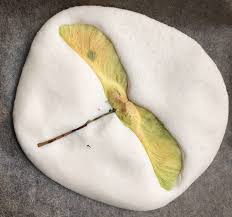 Die meisten kinder basteln gerne. Herbstbasteln Fur Kinder 7 Einfache Ideen Moms Blog Der Praktische Familienblog