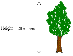 Multiply the measurement by the scale if you want to increase it in size. Scale Drawings