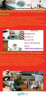 Absolutely no call out charges day or night. 46 Pest Control Service In Burlington Ideas Pest Control Services Pest Control Pests