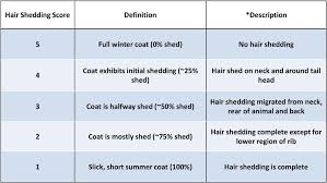 Image result for HAIR Score