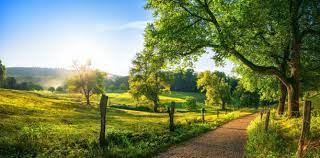 Rural Landscape In Late Summer Stock Photo - Download Image Now - Landscape - Scenery, Nature, Scenics - Nature - iStock