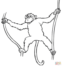 Use your mouse to color online the picture «monkey swinging on vine», or print out a black & white coloring sheet and color it with your crayons & paints! Monkey Hanging From Tree Easy Drawing Novocom Top