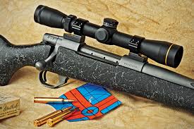 Weatherby Vanguard S2 Back Country Review