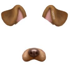 Filtre Snapchat Snapchat Dog Overlay Filter Thing I Made So Give Creds If Used Please Polyvore Emoji Accessories Overlays