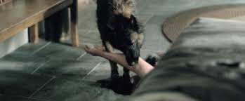 The yaoi were it's about a cat shine priest and the zodiac sign priest what's the name???? Gerald S Game Ending Explained 2017 Movie This Is Barry