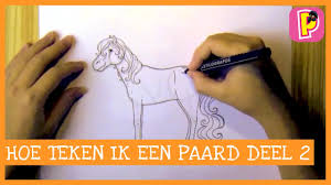 Samantha aka xxkiss_girlxxp:s zet hem op groot dan is tie iets duidelijker! Diy Hoe Teken Ik Een Paard Deel 2 Penny Tv Youtube